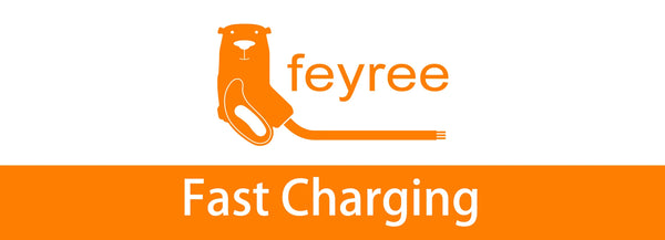 feyree Type 2 Portable EV Charger